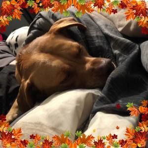 Meet your Posher, Doug clark